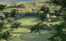 Billeder fra gæster i Villa la Vedetta