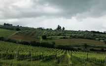 Billeder fra gæster i Villa Ferdinando