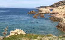 Billeder fra gæster i Villa Borgo dei Fiori Ginepro