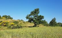 Billeder fra gæster i Casa Caldesi