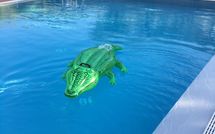 Billeder fra gæster i Uva