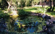 Billeder fra gæster i Casa Cipressi