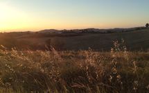 Billeder fra gæster i Casa Cipressi