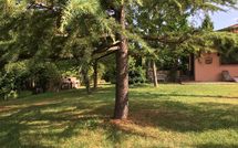 Billeder fra gæster i Casa Cipressi