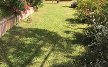 Billeder fra gæster i Casa Cipressi