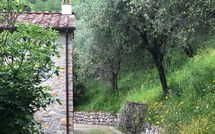 Billeder fra gæster i Villa Mastiano