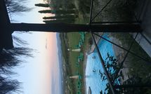 Billeder fra gæster i Montescalari