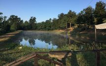 Billeder fra gæster i Fucecchio 900