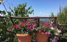 Billeder fra gæster i Casetta i Ciliegi