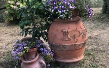 Billeder fra gæster i Villa Flora