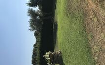 Billeder fra gæster i Poderino