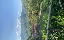 Billeder fra gæster i Villa Il Roseto