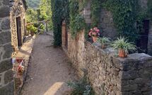 Billeder fra gæster i Villa Il Roseto