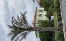 Billeder fra gæster i Villa Nicodemi