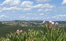 Billeder fra gæster i Fattoria di Quercia al Poggio