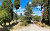 Billeder fra gæster i Villa Cecilia