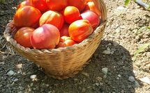 Billeder fra gæster i Torre del Cielo