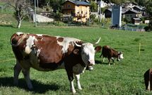 Billeder fra gæster i Maison chez Nous