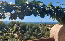 Billeder fra gæster i Bouganville