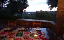 Billeder fra gæster i Bouganville