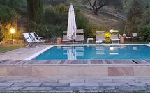 Billeder fra gæster i Paradiso