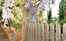 Billeder fra gæster i Tenuta Il Tresto