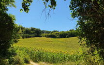 Billeder fra gæster i Gabicce Mare 603