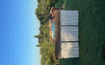 Billeder fra gæster i Campolacconi