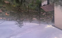 Billeder fra gæster i Il Poggiolo