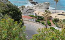 Billeder fra gæster i Lulablu