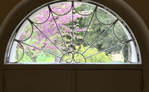 Billeder fra gæster i Poggio Falcone