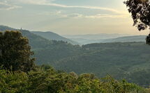 Billeder fra gæster i Villa Crispinino