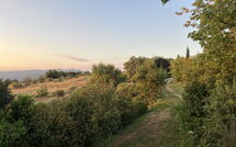 Billeder fra gæster i Casetta i Ciliegi