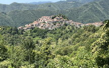 Billeder fra gæster i Broccolo