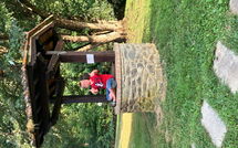 Billeder fra gæster i Villa le Balze