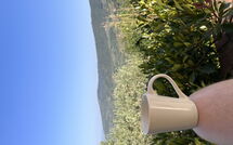 Billeder fra gæster i Orangerie degli Ulivi