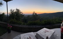 Billeder fra gæster i Orangerie degli Ulivi