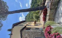 Billeder fra gæster i Il Gheppio