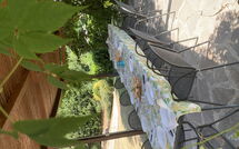 Billeder fra gæster i La Vittoria