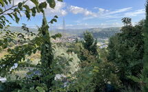 Billeder fra gæster i La Rosa