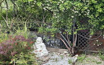 Billeder fra gæster i Villa Ancora