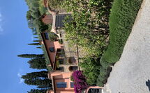 Billeder fra gæster i Villa Vico