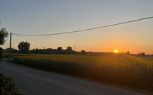 Billeder fra gæster i Villa Cantagallo