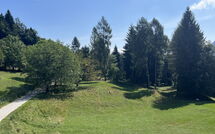 Billeder fra gæster i Alpe