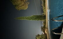 Billeder fra gæster i Villino Alba