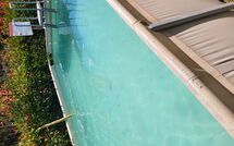 Billeder fra gæster i Villetta Luciana