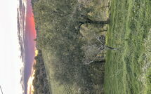 Billeder fra gæster i Sole nel Prato