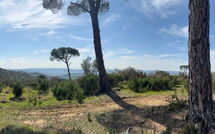 Billeder fra gæster i Dependance di Villa Magna