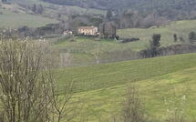 Billeder fra gæster i Dependance di Villa Magna