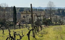 Billeder fra gæster i Dependance di Villa Magna